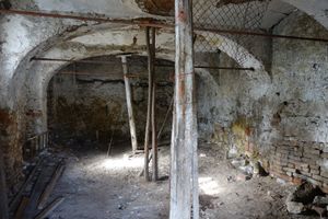 Stallgebäude vor Abbruch - 2021