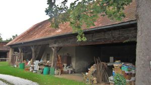 Alter Pressbaum im Stallgebäude - Laukhardt 2011